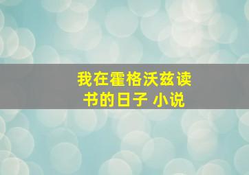 我在霍格沃兹读书的日子 小说